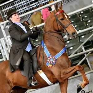 Meet your Posher, Sara